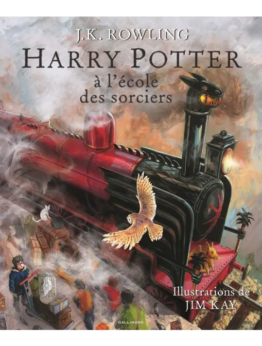 Harry Potter (roman illustré) tome 1