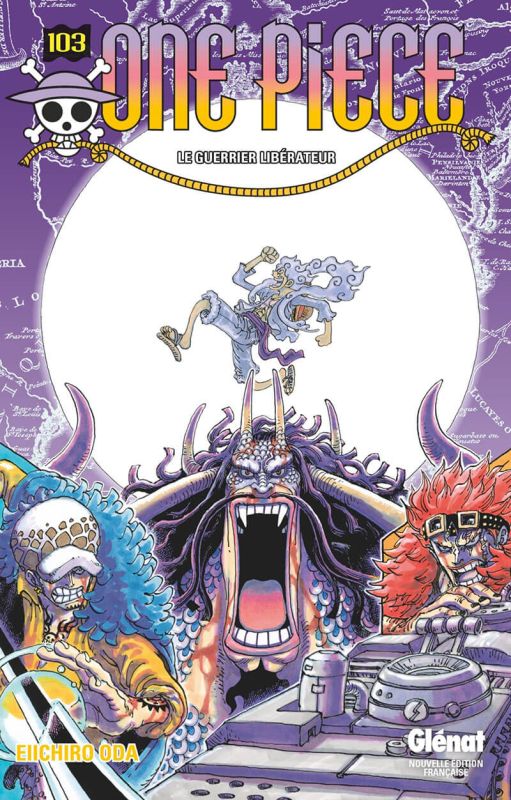 One Piece - Édition équipage - Coffret 9 - 12 DVD - Manga animé